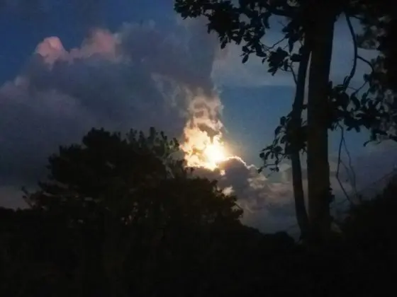 Traditional Tek Büyük veya İki Ayrı Yataklı Oda, 1 Yatak Odası, Özel Banyo, Vadi Manzaralı