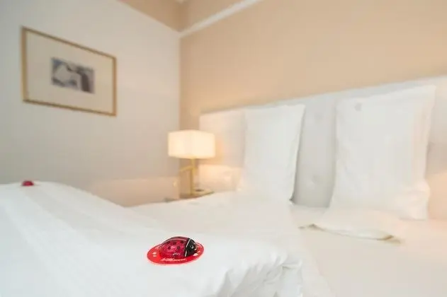 Classic Tek Büyük Yataklı Oda, 1 Çift Kişilik Yatak (without balcony)