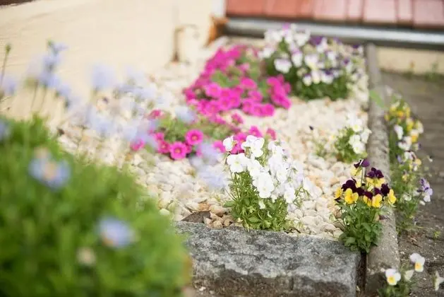 Apart Daire (Waterlounge)