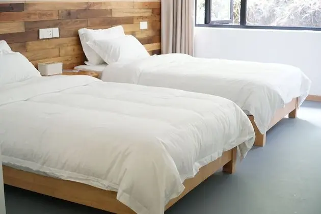 Comfort İki Ayrı Yataklı Oda
