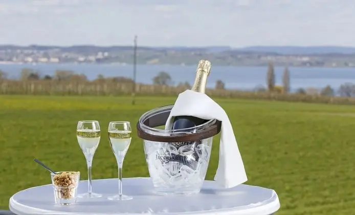 Deluxe Tek Büyük Yataklı Oda, Göl Manzaralı