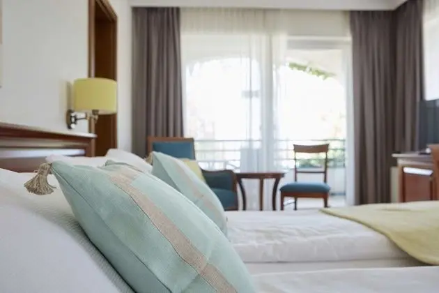 Tek Büyük Yataklı Oda, Balkon, Göl Manzaralı (Seewirt SDS)