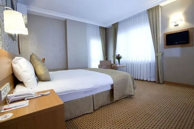 Business Tek Büyük veya İki Ayrı Yataklı Oda, Şehir Manzaralı