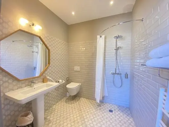 Comfort Tek Büyük Yataklı Oda, Engellilere Uygun, Özel Banyo