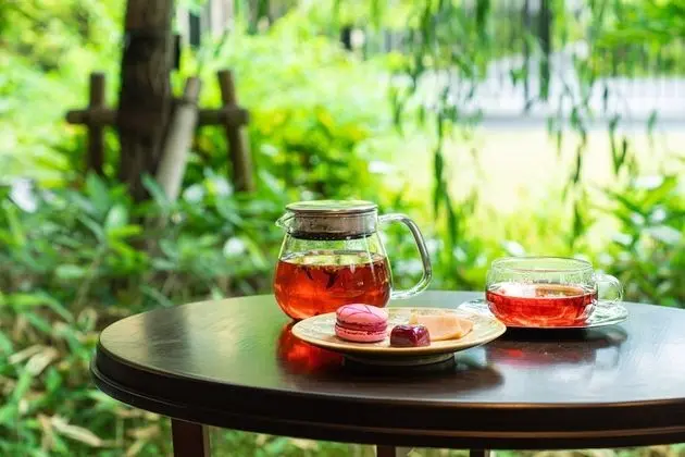 Superior İki Ayrı Yataklı Oda, Sigara İçilmez (Pagoda View)
