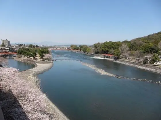 Traditional Oda, Japon Şiltesi