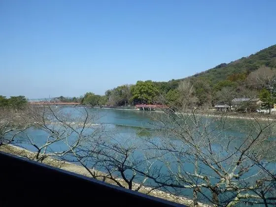 Traditional Oda, Japon Şiltesi