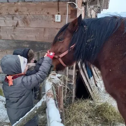 Economy Dört Kişilik Oda, 1 Yatak Odası, Dağ Manzaralı