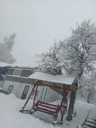 Oda, 1 Yatak Odası, Veranda