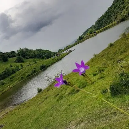 Oda, 1 Yatak Odası, Veranda