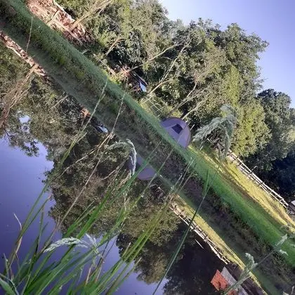 Oda, 1 Yatak Odası, Veranda