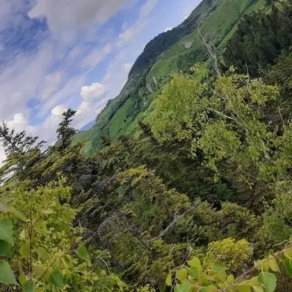 Oda, 1 Yatak Odası, Veranda