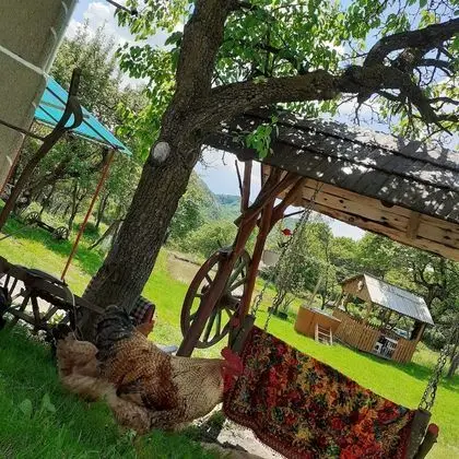 Oda, 1 Yatak Odası, Veranda