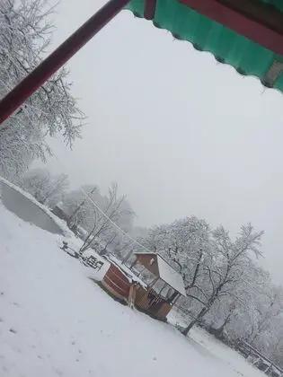 Oda, 1 Yatak Odası, Veranda