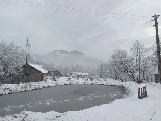 Oda, 1 Yatak Odası, Veranda