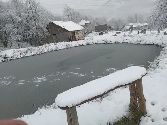 Oda, 1 Yatak Odası, Veranda