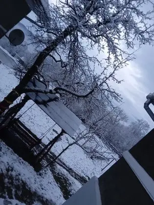 Oda, 1 Yatak Odası, Veranda