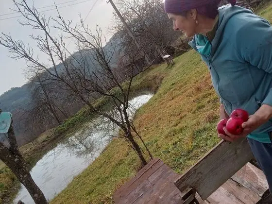 Oda, 1 Yatak Odası, Veranda