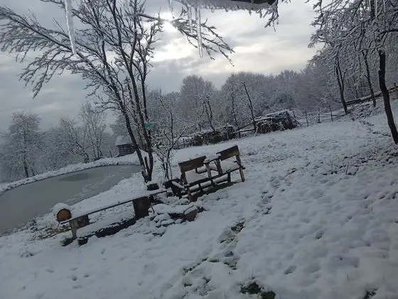 Oda, 1 Yatak Odası, Veranda