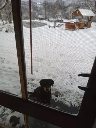 Oda, 1 Yatak Odası, Veranda