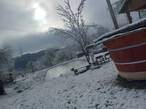 Oda, 1 Yatak Odası, Veranda