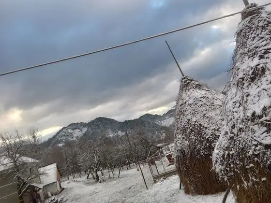 Oda, 1 Yatak Odası, Veranda