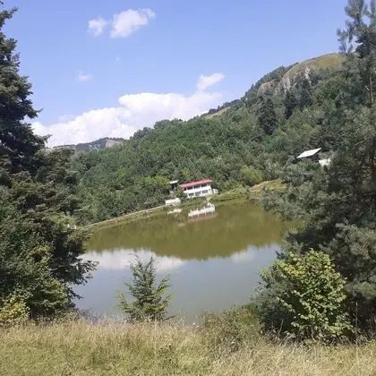 Oda, 1 Yatak Odası, Veranda