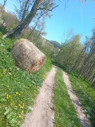 Oda, 1 Yatak Odası, Veranda