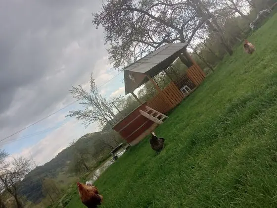 Oda, 1 Yatak Odası, Veranda