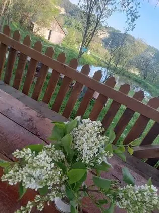 Oda, 1 Yatak Odası, Veranda