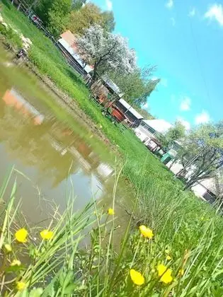 Oda, 1 Yatak Odası, Veranda