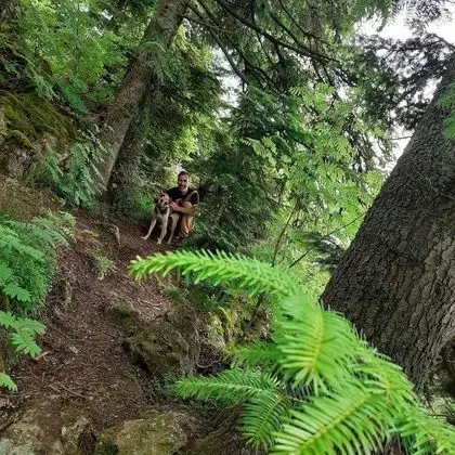 Oda, 1 Yatak Odası, Veranda