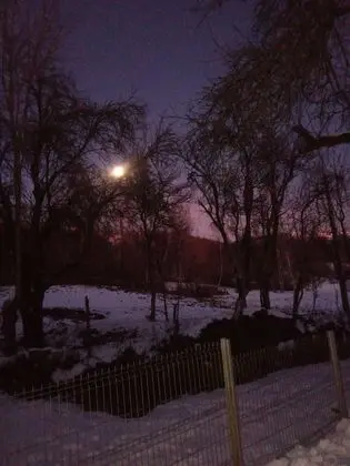 Oda, 1 Yatak Odası, Veranda