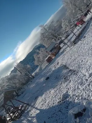 Oda, 1 Yatak Odası, Veranda