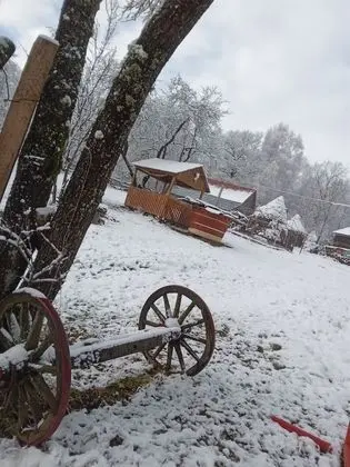 Oda, 1 Yatak Odası, Veranda