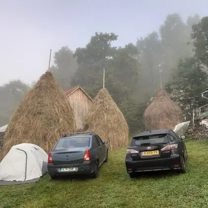 Oda, 1 Yatak Odası, Veranda