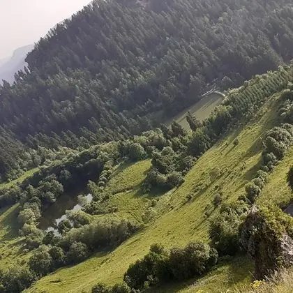 Oda, 1 Yatak Odası, Veranda