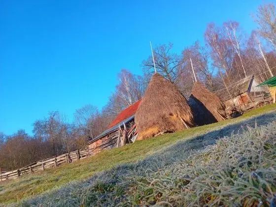 Oda, 1 Yatak Odası, Veranda