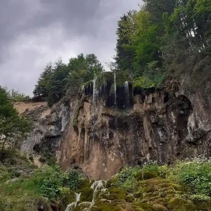 Oda, 1 Yatak Odası, Veranda