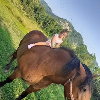 Oda, 1 Yatak Odası, Veranda