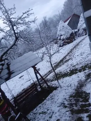 Oda, 1 Yatak Odası, Veranda