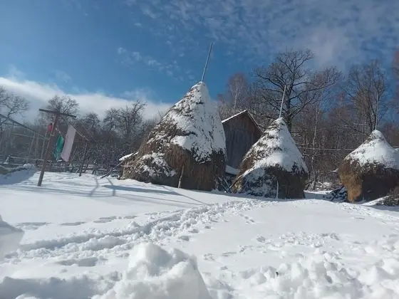 Oda, 1 Yatak Odası, Veranda