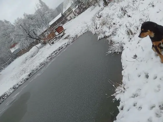 Oda, 1 Yatak Odası, Veranda