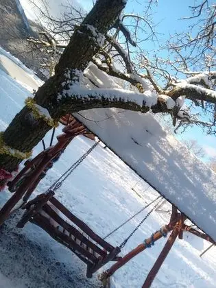 Oda, 1 Yatak Odası, Veranda