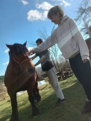 Oda, 1 Yatak Odası, Veranda