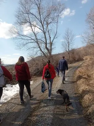 Oda, 1 Yatak Odası, Veranda