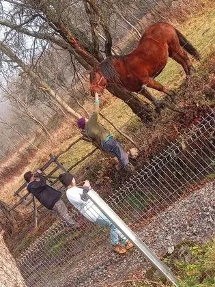 Oda, 1 Yatak Odası, Veranda