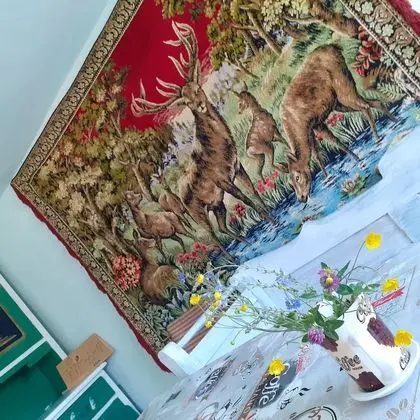 Oda, 1 Yatak Odası, Veranda