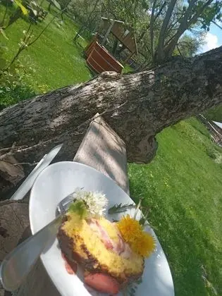 Oda, 1 Yatak Odası, Veranda