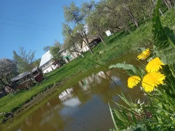 Oda, 1 Yatak Odası, Veranda